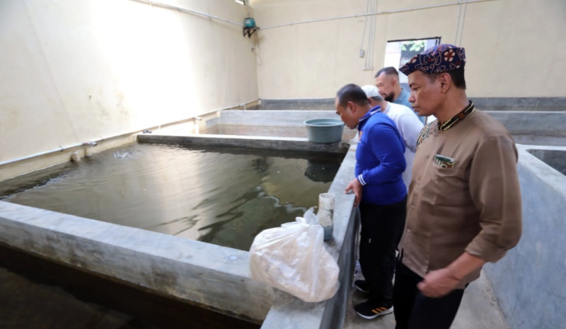 DKPPP Dorong BPBIAT Bisa Penuhi Kebutuhan Ikan di Kota Cirebon